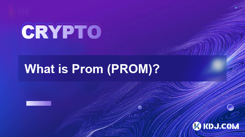 什么是舞会（PROM）？