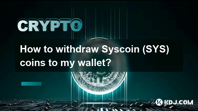 如何将 Syscoin (SYS) 硬币提取到我的钱包？