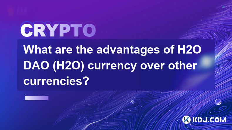 H2O DAO（H2O）貨幣相對於其他貨幣有哪些優勢？