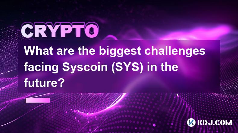 Syscoin (SYS) が将来直面する最大の課題は何ですか?