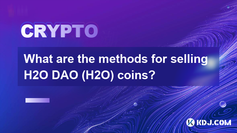 H2O DAO（H2O）币的销售方式有哪些？