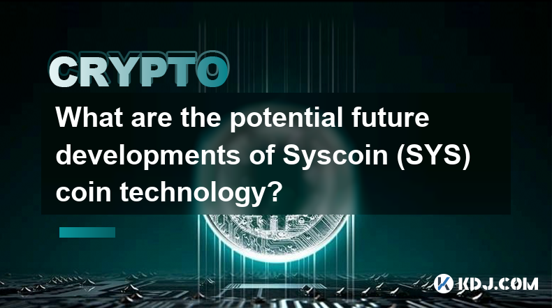 Syscoin（SYS）币技术未来的潜在发展是什么？