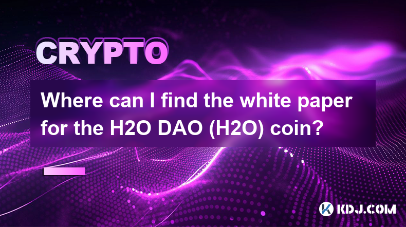 在哪裡可以找到 H2O DAO (H2O) 幣的白皮書？