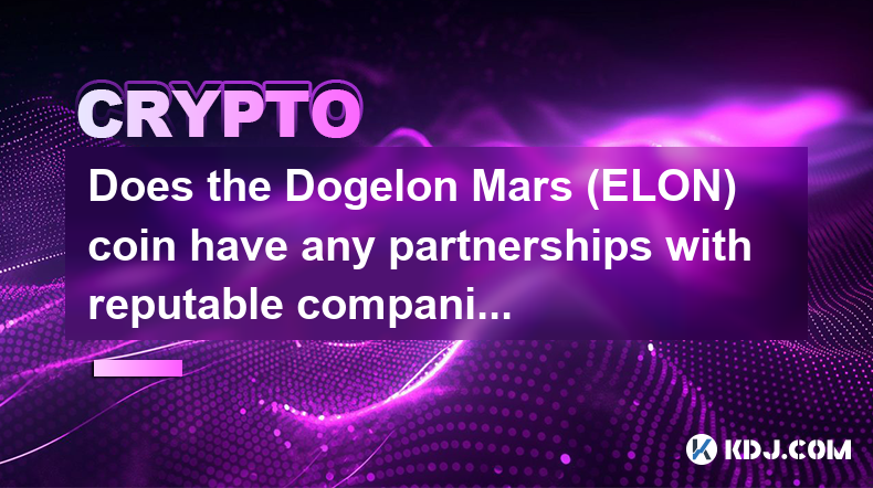 Dogelon Mars (ELON) 硬币是否与信誉良好的公司有合作伙伴关系？