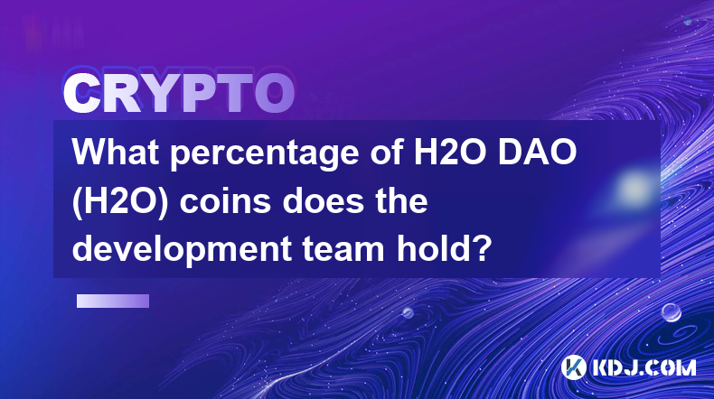 開発チームは H2O DAO (H2O) コインの何パーセントを保有していますか?