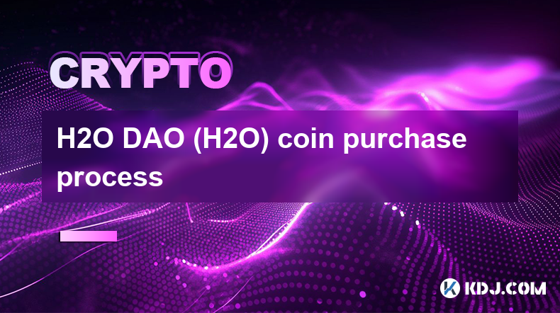 H2O DAO（H2O）币购买流程