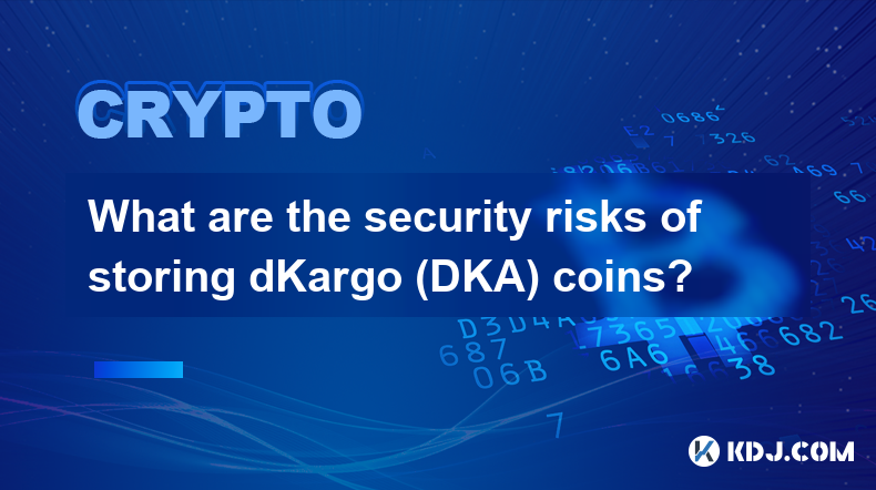 存储 dKargo (DKA) 币有哪些安全风险？