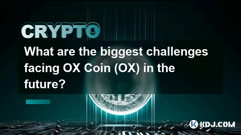 What are the biggest challenges facing OX Coin (OX) in the future?