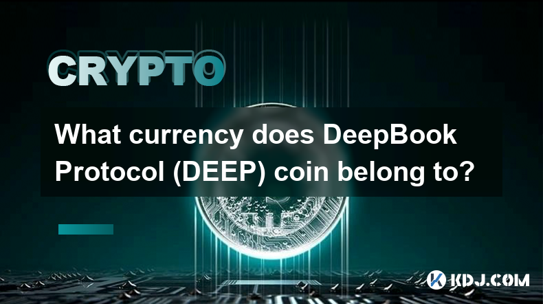 What currency does DeepBook Protocol (DEEP) coin belong to?