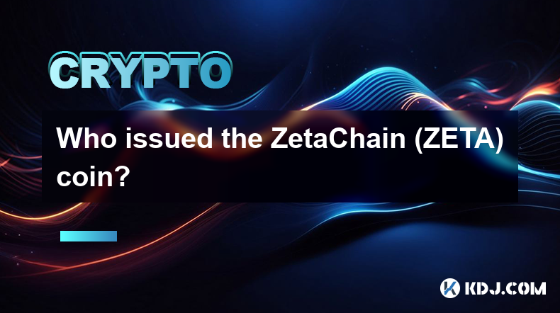 誰發行了 ZetaChain (ZETA) 幣？