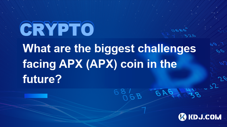 APX（APX）币未来面临的最大挑战是什么？