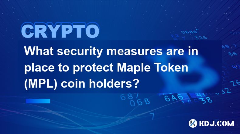 Welche Sicherheitsmaßnahmen gibt es zum Schutz der Inhaber von Maple Token (MPL)-Münzen?