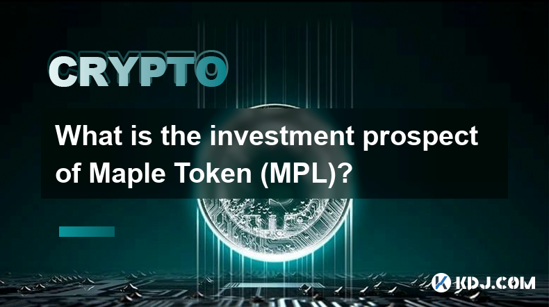 Quelles sont les perspectives d’investissement de Maple Token (MPL) ?