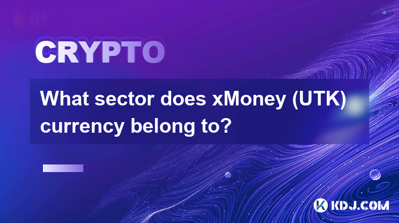 xMoney (UTK) 貨幣屬於什麼板塊？