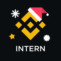 Binance Intern