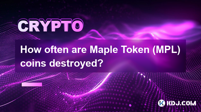 À quelle fréquence les pièces Maple Token (MPL) sont-elles détruites ?