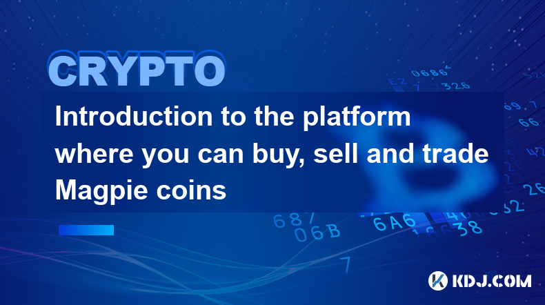 Introduction to the platform where you can buy, sell and trade Magpie coins