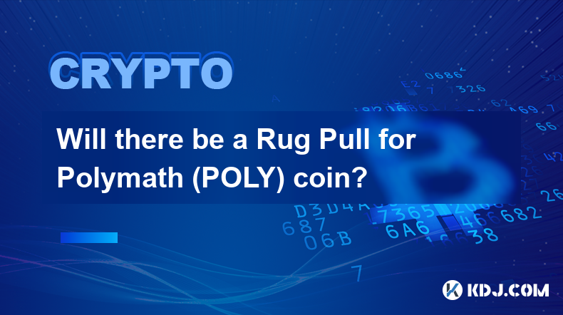 Polymath (POLY) 硬幣會有地毯拉力嗎？