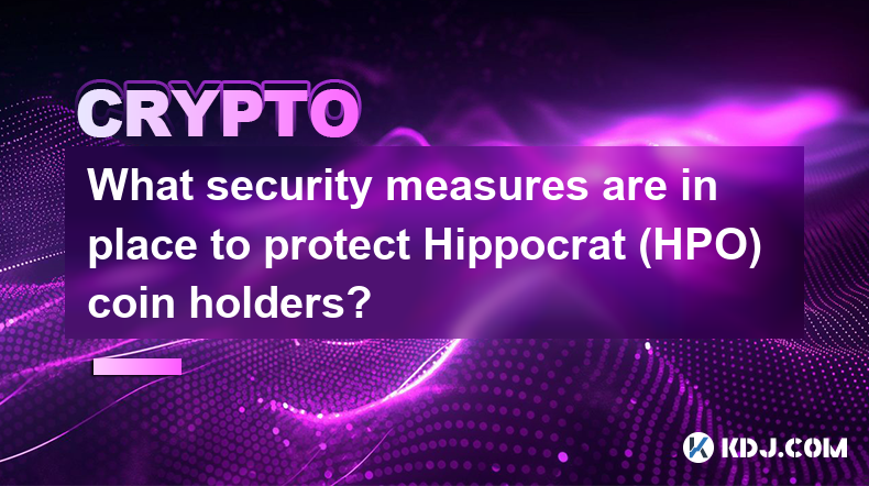 What security measures are in place to protect Hippocrat (HPO) coin holders?