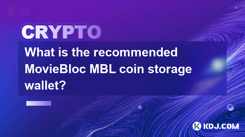 推荐的 MovieBloc MBL 硬币存储钱包是什么？