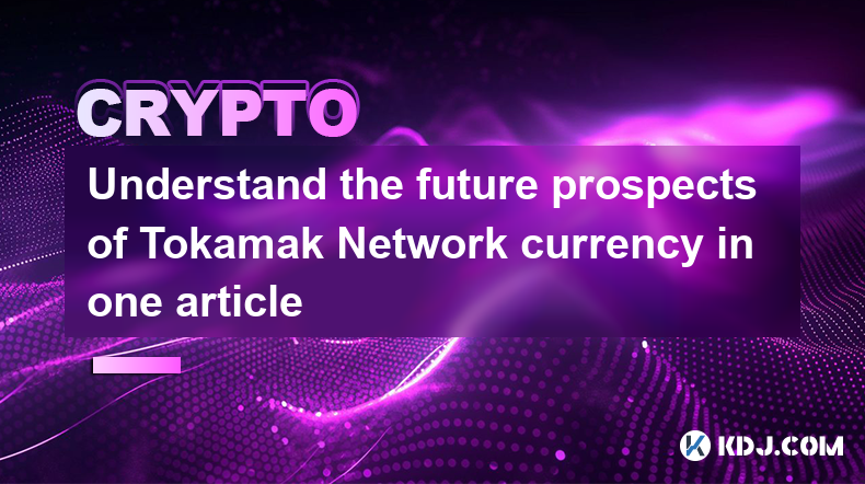 Understand the future prospects of Tokamak Network currency in one article