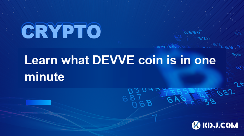 一分鐘了解 DEVVE 幣是什麼