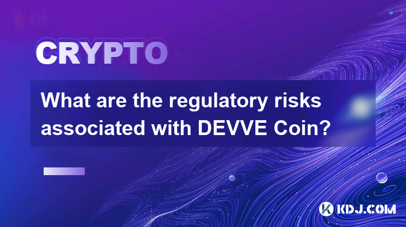 DEVVE Coin に関連する規制リスクは何ですか?