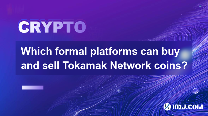 Tokamak Network 코인을 사고 팔 수 있는 공식 플랫폼은 무엇입니까?