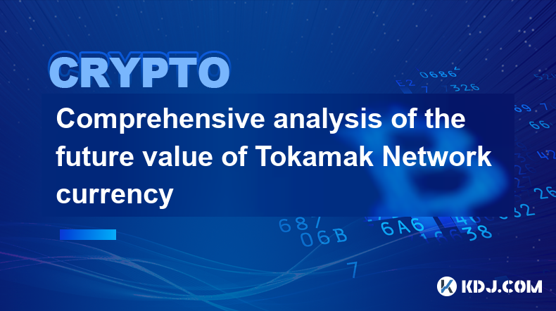 トカマクネットワーク通貨の将来価値の包括的分析