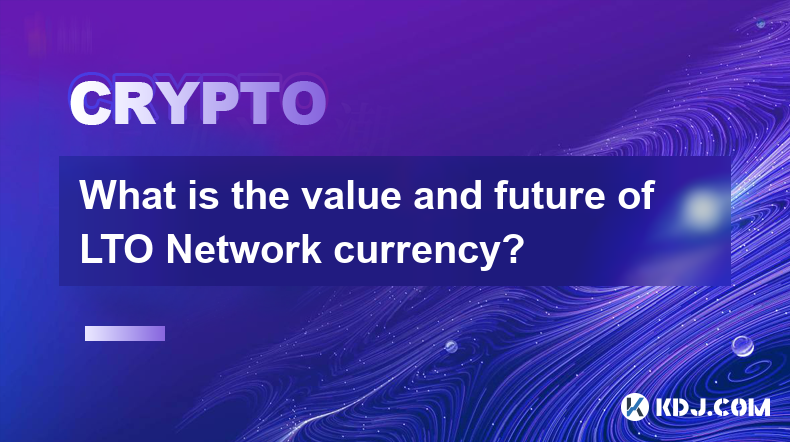 What is the value and future of LTO Network currency?