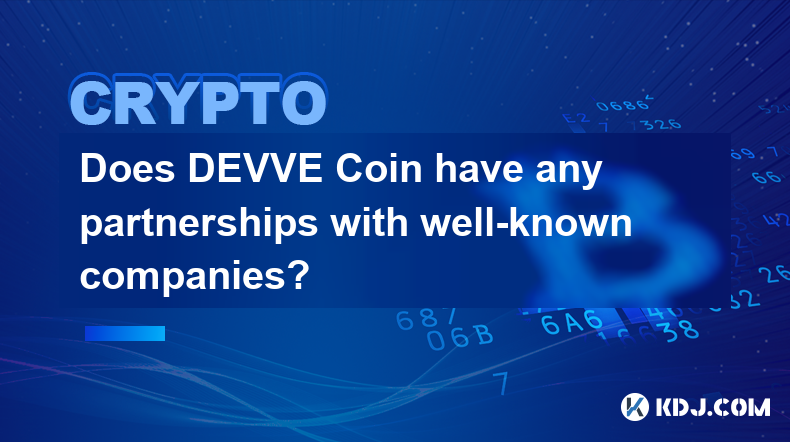 DEVVE Coin은 유명 기업과 파트너십을 맺고 있나요?