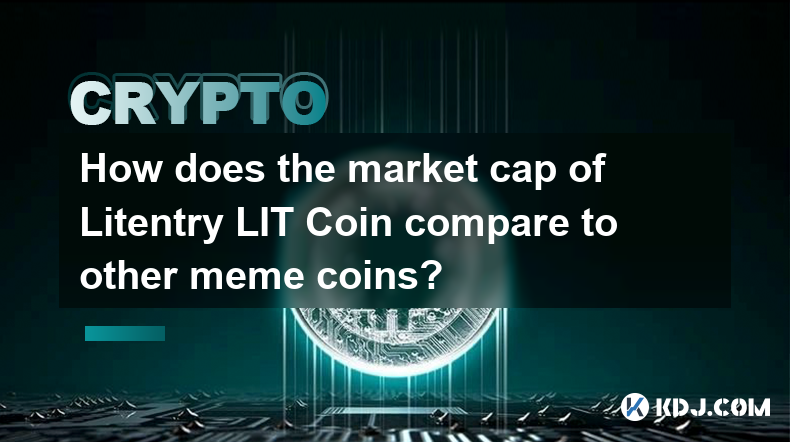 Wie ist die Marktkapitalisierung von Litentry LIT Coin im Vergleich zu anderen Meme-Coins?