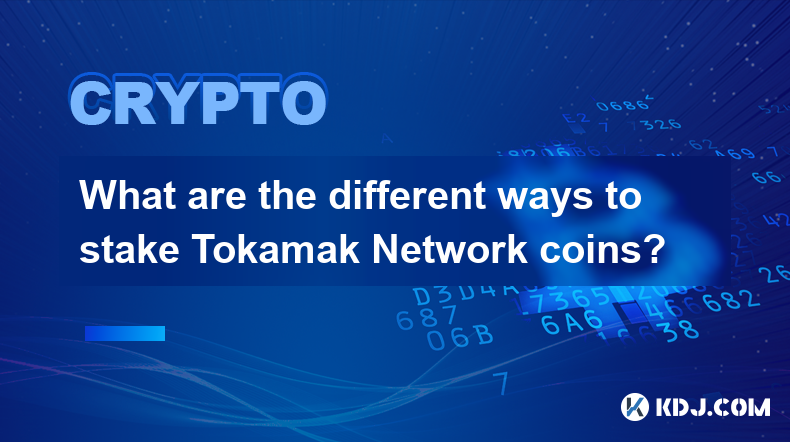 What are the different ways to stake Tokamak Network coins?