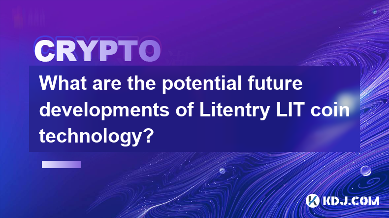 Litentry LIT币技术未来的发展潜力是什么？