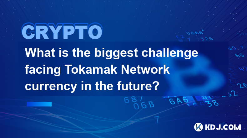 앞으로 Tokamak Network 통화가 직면한 가장 큰 과제는 무엇입니까?