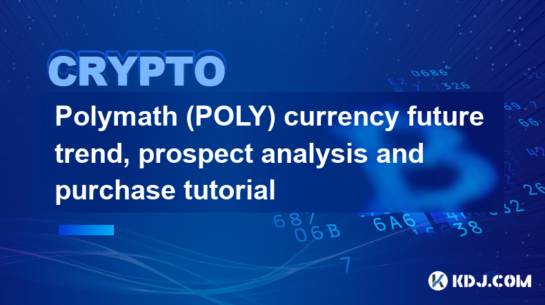 Polymath (POLY) 通貨の将来動向、見通し分析、購入チュートリアル