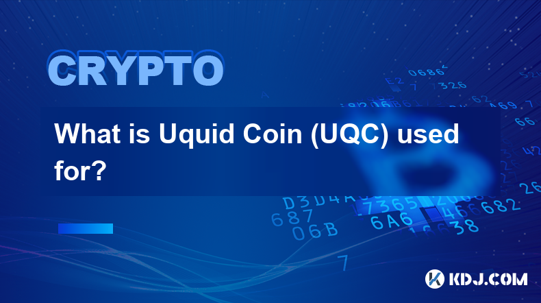 Uquid Coin (UQC) 有何用途？