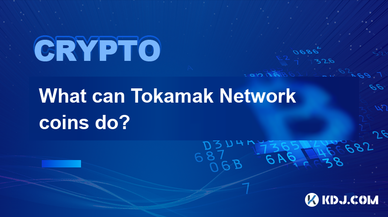 Tokamak Network 코인은 무엇을 할 수 있나요?