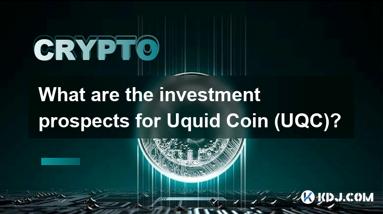 Quelles sont les perspectives d’investissement pour Uquid Coin (UQC) ?