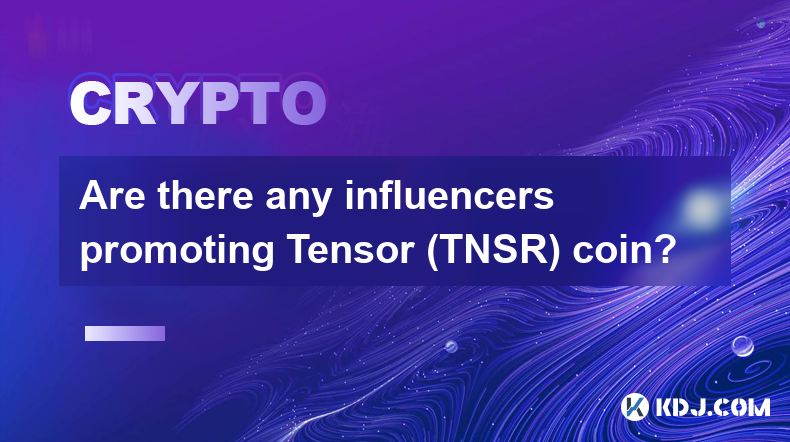 有影響者推廣 Tensor (TNSR) 幣嗎？