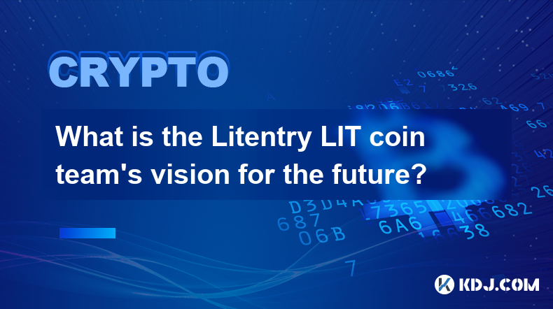 What is the Litentry LIT coin team’s vision for the future?