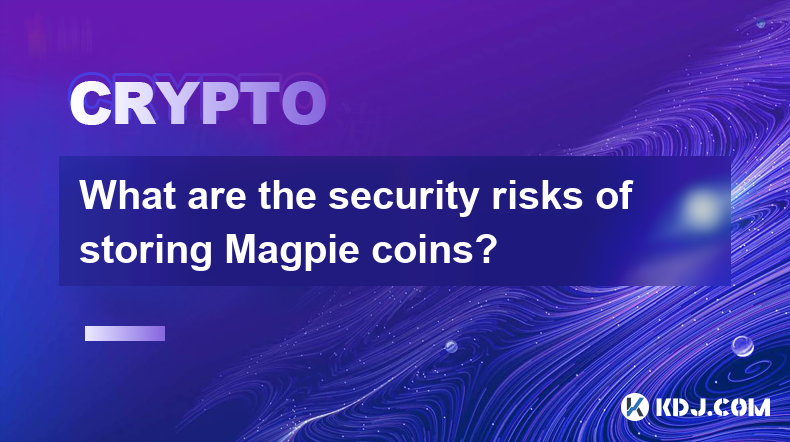 What are the security risks of storing Magpie coins?