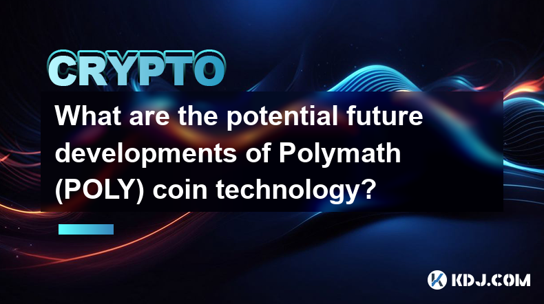 Polymath（POLY）硬幣技術未來的潛在發展是什麼？