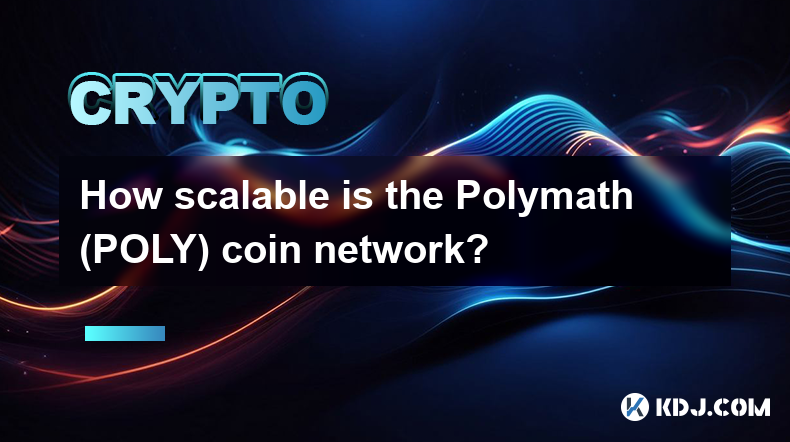 Polymath (POLY) 硬币网络的可扩展性如何？