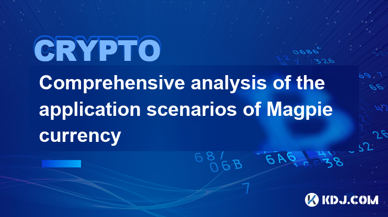 Analyse complète des scénarios d'application de la monnaie Magpie