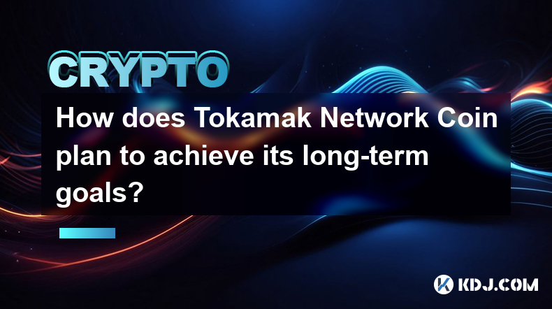 How does Tokamak Network Coin plan to achieve its long-term goals?