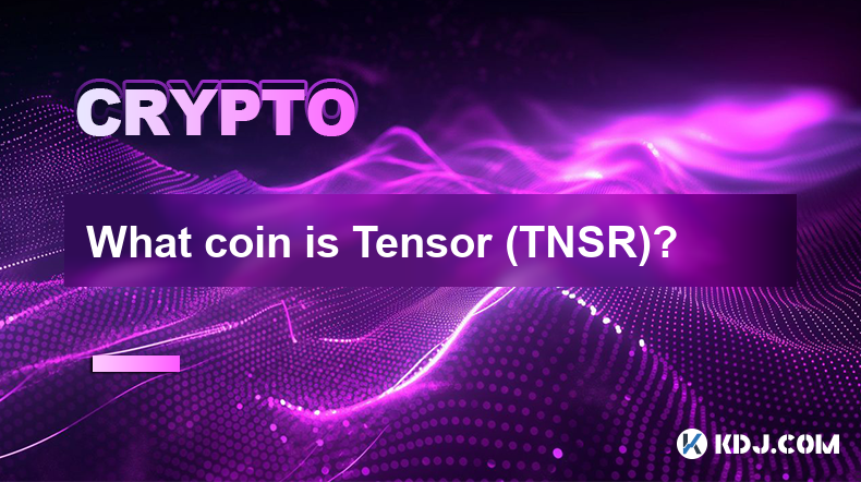 What coin is Tensor (TNSR)?