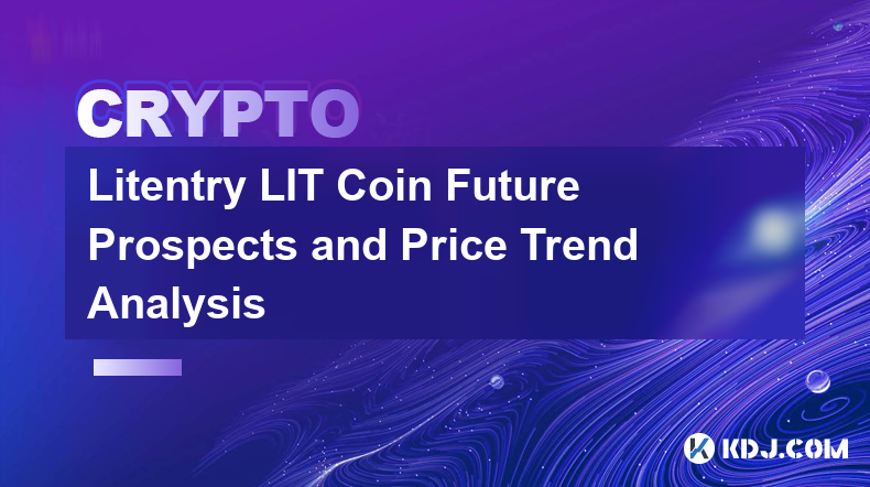 Litentry LIT Coin Zukunftsaussichten und Preistrendanalyse