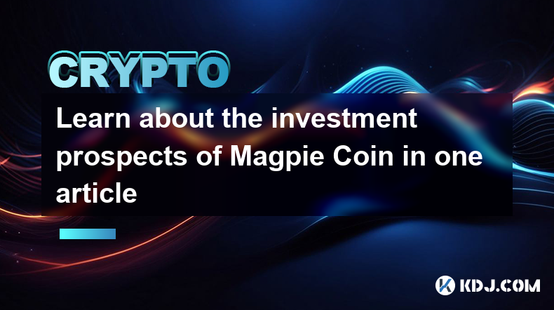 Découvrez les perspectives d’investissement de Magpie Coin dans un article