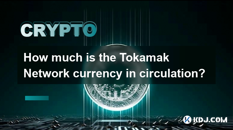 How much is the Tokamak Network currency in circulation?